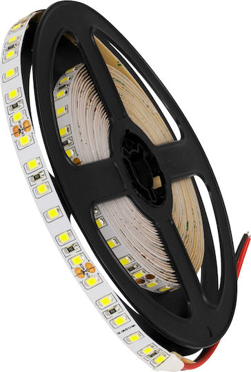 GloboStar LED Лента 24V Студено бяло Светлина 5м Тип SMD2835