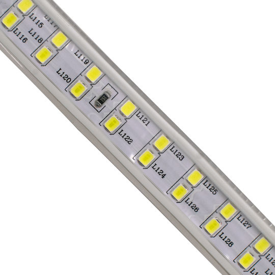 GloboStar Rezistent la apă Bandă LED 220V Alb Rece Lumină 1m Tip SMD2835