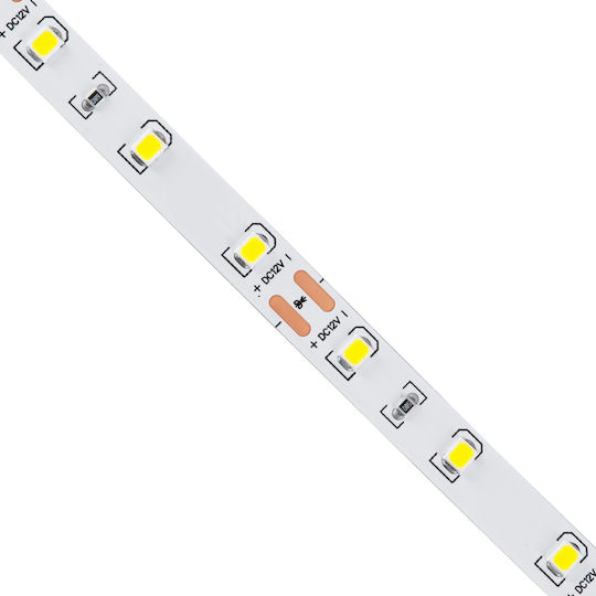 GloboStar Ταινία LED 12V Ψυχρό Λευκό Φως 5m Τύπου SMD2835