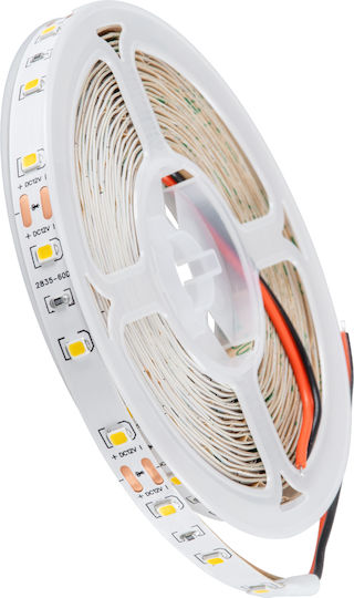 GloboStar Ταινία LED 12V Θερμό Λευκό Φως 5m Τύπου SMD2835