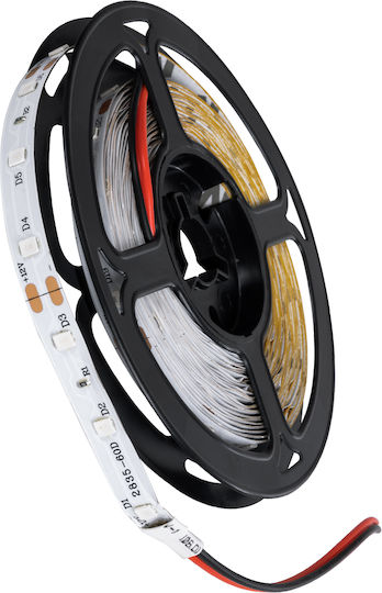 GloboStar LED Strip Avila 12V Blue Light 5m Type SMD3528