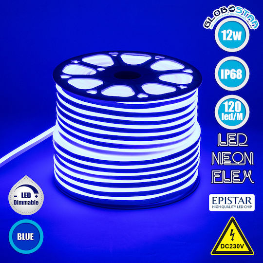 GloboStar Waterproof LED Strip 220V Blue Light 1m Neon Flex
