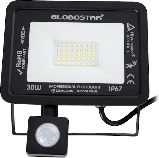 GloboStar Aurora Waterproof LED Floodlight 30W Cold White 6000K with Motion Sensor IP67