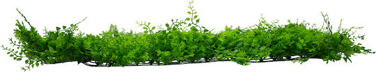 GloboStar Artificial Foliage Panel Leyland - Dwarf Ivy 60x40cm