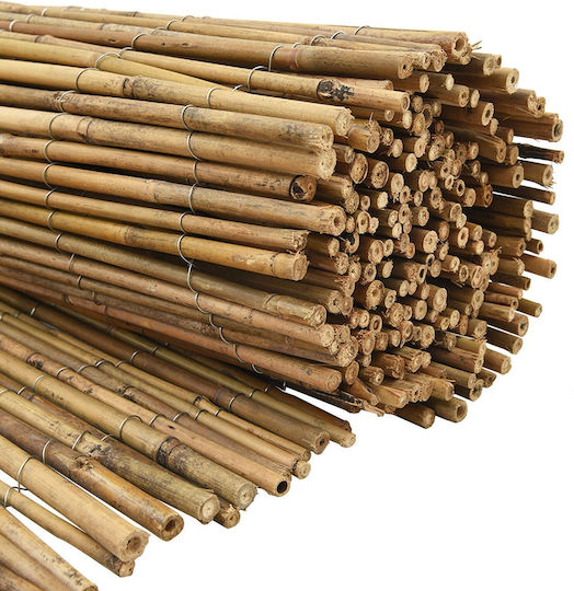vidaXL Каламоти Бамбук с Цяло Дърво 1.25x5m