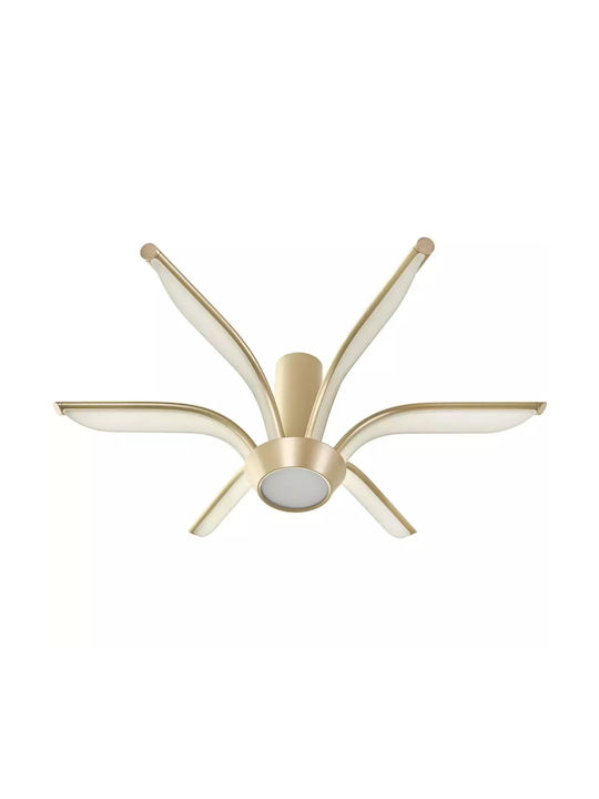 Ceiling Light LED
