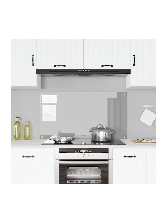 vidaXL Rectangular Glass Back Open Gray 110x60x0.6cm 42001306