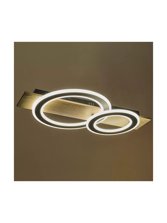 Ceiling Light LED