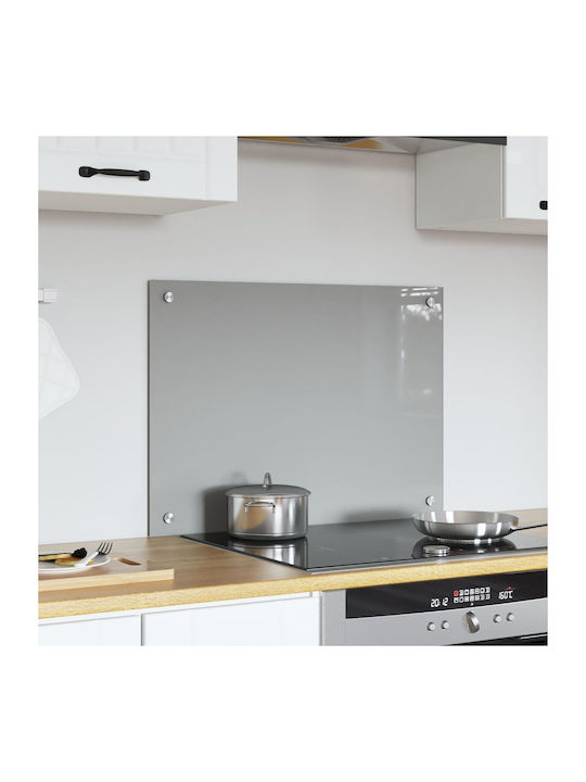 vidaXL Rectangular Glass Backlight Gray 70x50x0.6cm 42001227