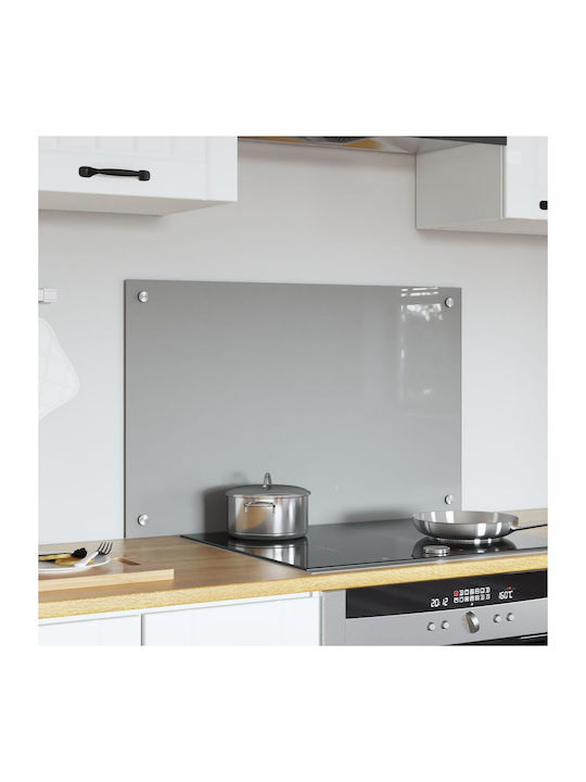 vidaXL Rectangular Glass Back Open Gray 80x50x0.6cm 42001230