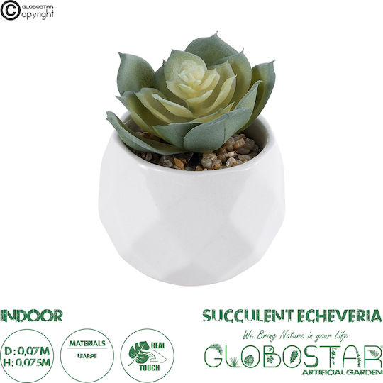Globostar? Artificial Garden Succulent Echeveria 20980 Διακοσμητικό Φυτό Παχύφυτο Εχεβέρια Υ7.5cm
