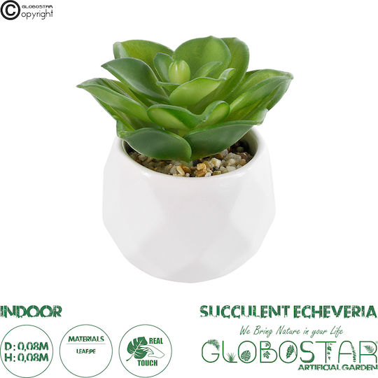 Globostar Artificial Garden Succulent Echeveria 21003 Decorative Plant Succulent Echeveria H8cm