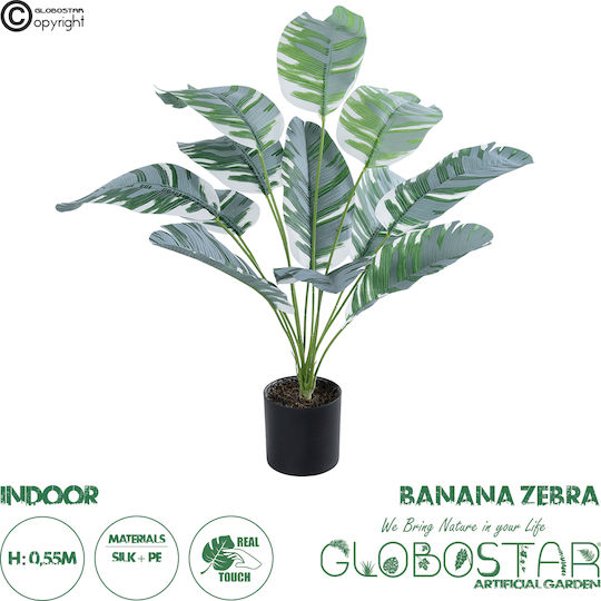Globostar künstliche Gartenbanane Zebra 20930 Dekorative Pflanze Banane Zebra H55cm