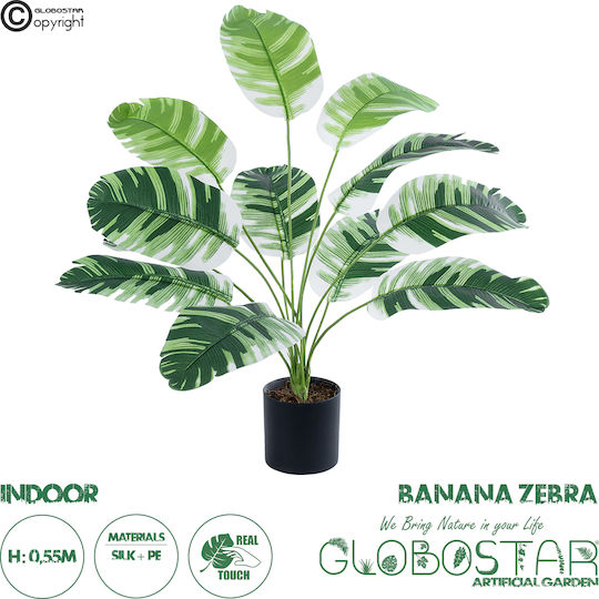 Globostar? Künstliche Gartenbanane Zebra 20929 Dekorative Pflanze Banane Zebra H55cm