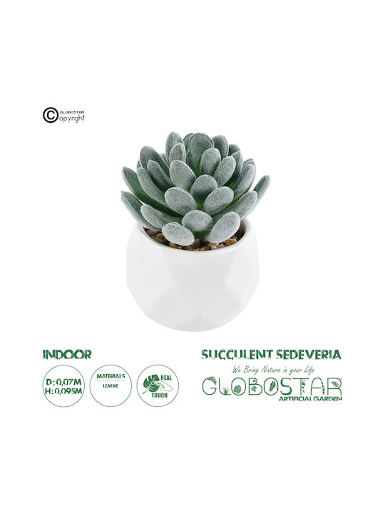 Globostar Artificial Garden Succulent Sedeveria 21001 Decorative Plant Succulent Sedeveria H9.5cm