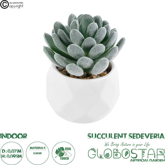 Globostar Künstlicher Garten Sukkulente Sedeveria 21001 Dekorative Pflanze Sukkulente Sedeveria H9,5cm