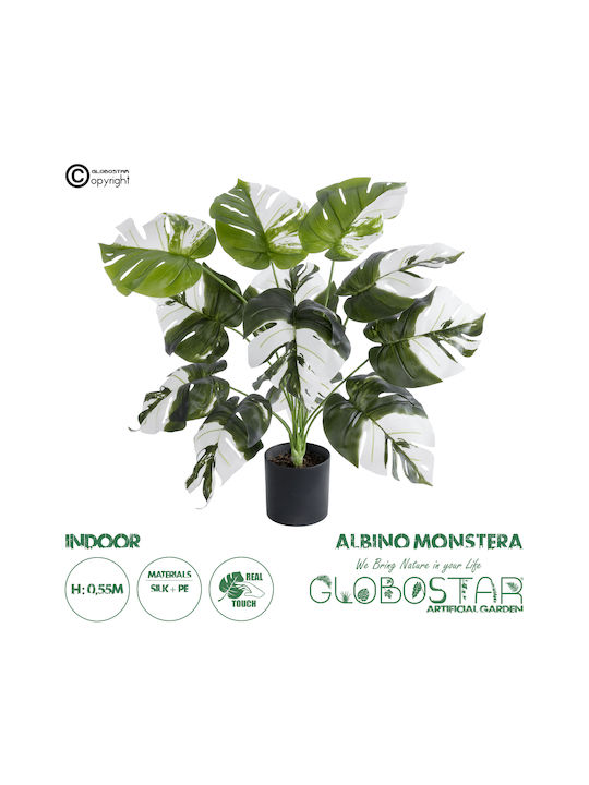 Globostar Knstliche Garten Albino Monstera 20935 Dekorative Pflanze Weie  Monstera H55cm | Skroutz Germany