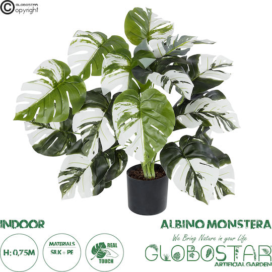 Globostar Künstliche Garten Albino Monstera 20925 Dekorative Pflanze Weiße Monstera H75cm
