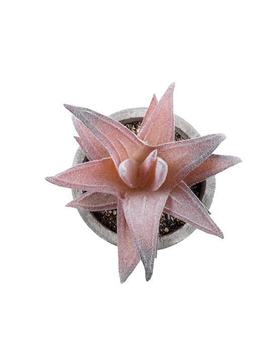 Globostar Artificial Garden Succulent Aloe 21032 Decorative Plant Succulent Aloe H11cm