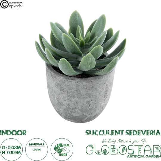 Globostar Suculentă Artificială de Grădină Sedeveria Plantă Decorativă Suculentă Sedeveria H10.5cm GloboStar