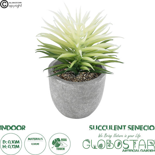 Globostar? Artificial Garden Succulent Senecio 21024 Διακοσμητικό Φυτό Παχύφυτο Σενέκιο Υ12cm