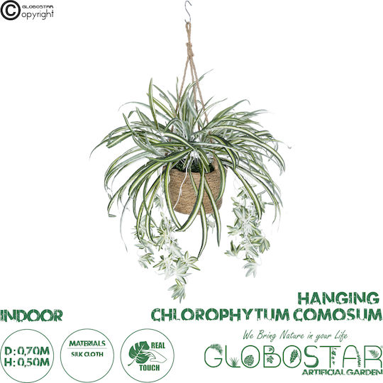 Globostar? Artificial Garden Chlorophytum Comosum Hanging Plant 20638 Τεχνητό Κρεμαστό Διακοσμητικό Χλωρόφυτο Y50cm