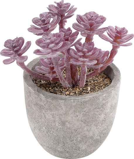 Globostar Artificial Garden Succulent Sedum 21017 Decorative Plant Succulent Sedum H10cm