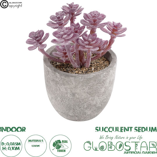 Globostar Artificial Garden Succulent Sedum 21017 Decorative Plant Succulent Sedum H10cm