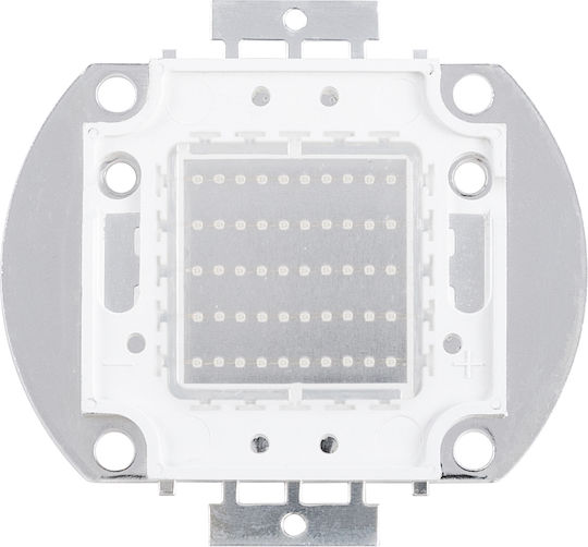 GloboStar LED Chip Green 50W (73771)
