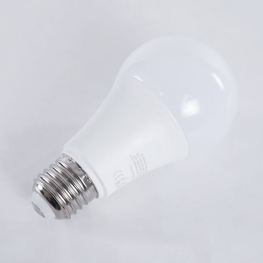 GloboStar LED-Lampe 10W 110mm für Fassung E27 und Form A60 Kühles Weiß 990lm Dimmbar