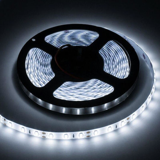 Rebel Αδιάβροχη Ταινία LED 12V Ψυχρό Λευκό Φως 5m