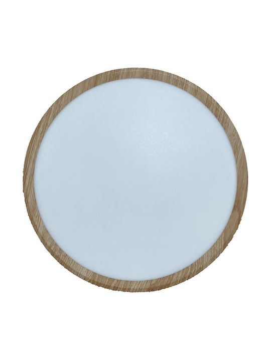 Redled Ceiling Light Redled Ceiling Light