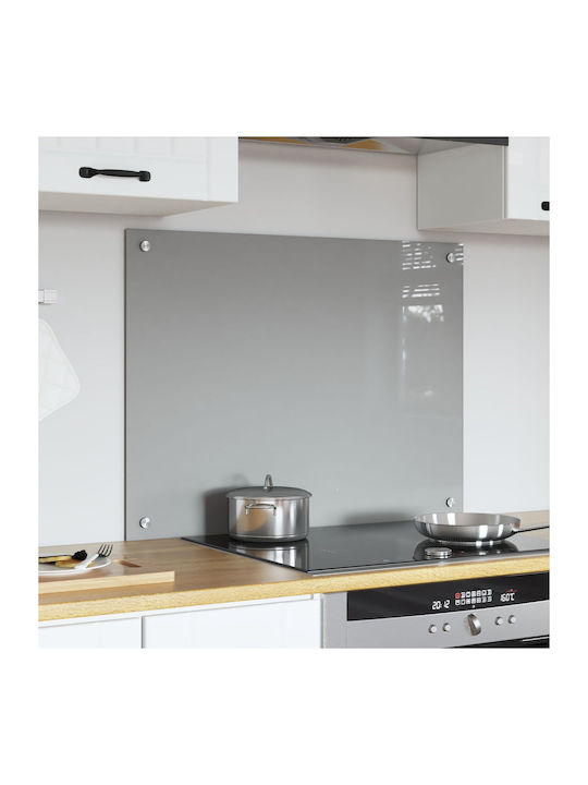 vidaXL Spătar Rectangular din Sticlă Gri Deschis 80x60cm 42001231