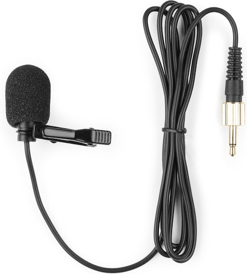 Power Dynamics PD220B Σετ Ασύρματο Μικρόφωνο Κεφαλής για Φωνητικά