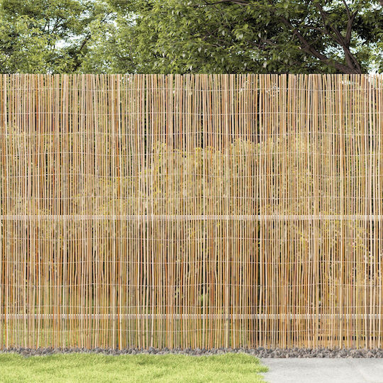 vidaXL Bambuszaun mit Ganzes Schilf Bambus 1,5x5m