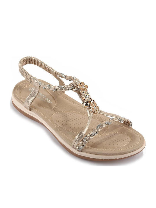 Fshoes