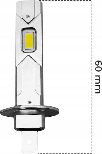 Interlook Λάμπες Αυτοκινήτου H1 Canbus LED 6000K Ψυχρό Λευκό 80W 2τμχ