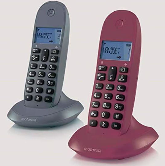 Motorola C1002L Schnurlostelefon Duo Gray/Red