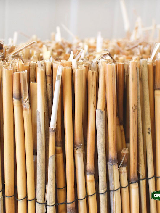 Grasher Bamboo Fencing with Whole Reed 1x3m