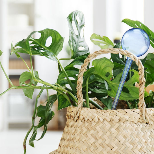 Set 6 Plant Watering Distributors Blue Clear Size 28 Cm Relaxdays