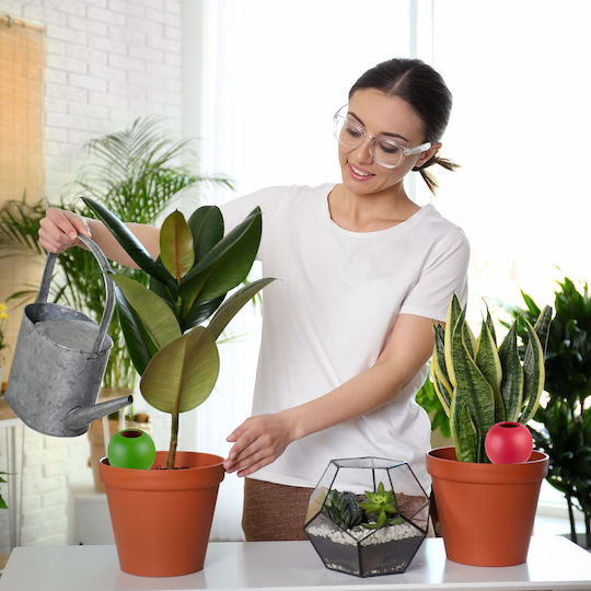 Set aus 4 Ton-Bewässerungskegeln Pflanzen Relaxdays Tropfer Mehrfarbig