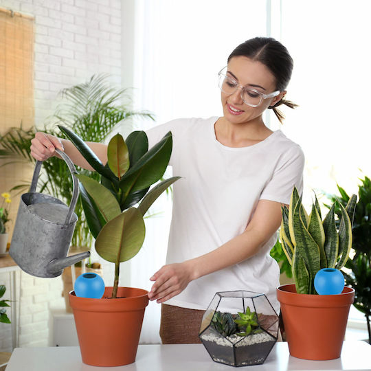Set 4 Conuri de Udare din Argilă pentru Plante Relaxdays Picurător Albastru