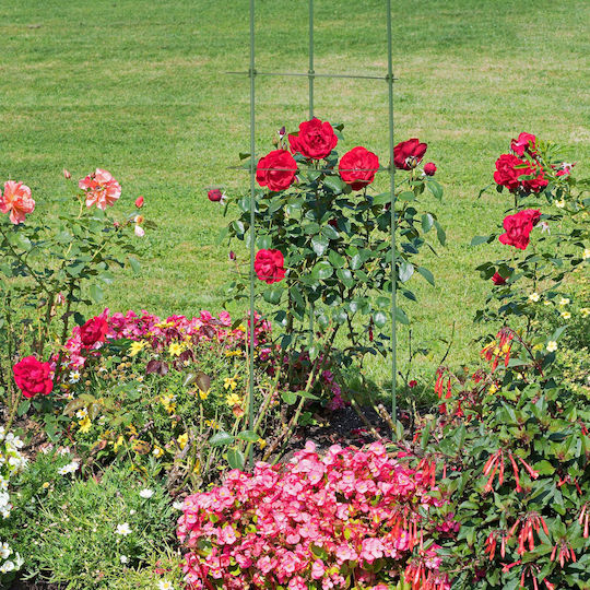 Set 3 Tomato Trellises Metal Plastic Relaxdays Dimensions 91 X 28 Cm Green