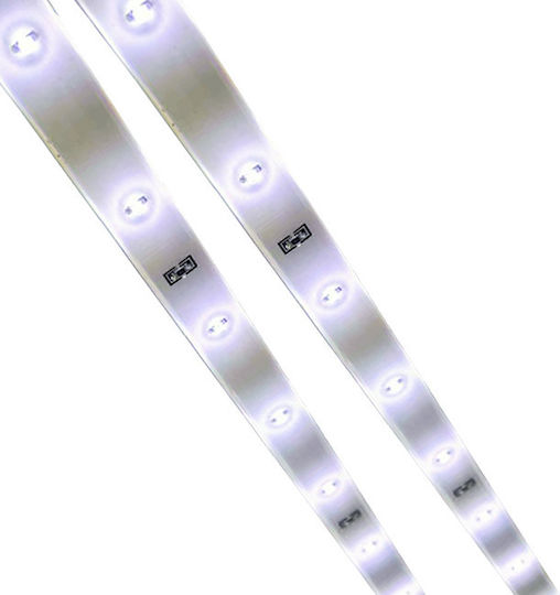 Auto Gs LED Ταινία Αυτοκινήτου 24V Λευκό