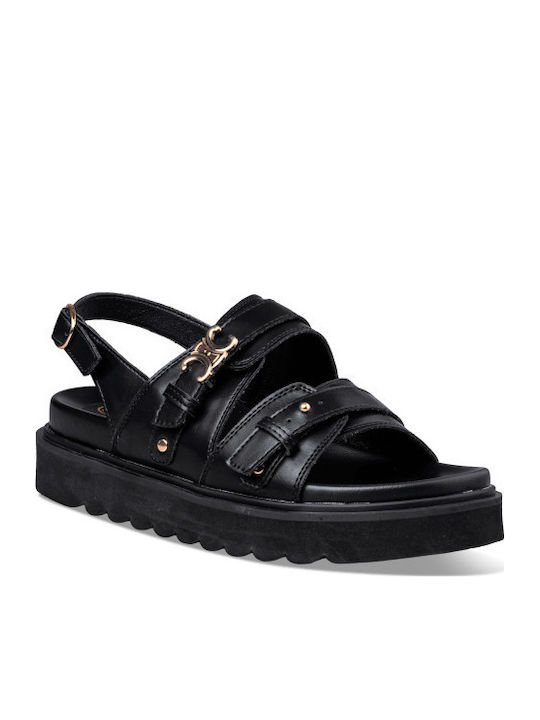 Envie Shoes