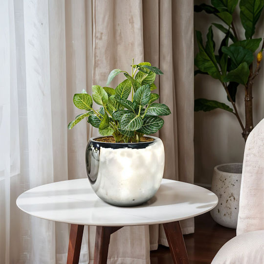 InTheBox Βάζο Κεραμικό Φ28xΥ28cm InTheBox Βάζο Κεραμικό Φ28xΥ28cm