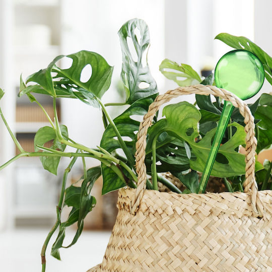 Set 6 Distribuitoare de Udare pentru Plante Verde Transparent Dimensiune 28 Cm Relaxdays