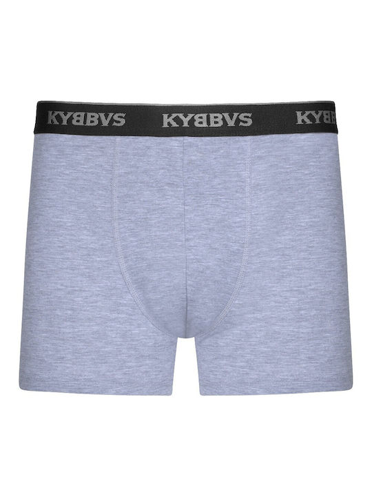 Kybbvs