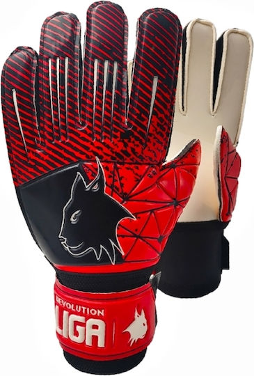 Liga Sport Torwarthandschuhe Erwachsene Schwarz