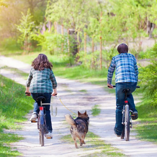 Dog Bicycle Leash Spacer Relaxdays 47 X 21.5 X 5 Cm